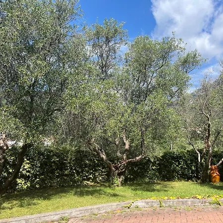 La Terrazza * トイラーノ